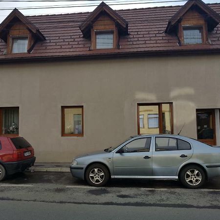 Theresia Apartment Sibiu Bagian luar foto